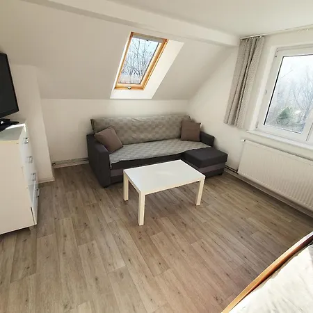 U Bozeny Apartament *