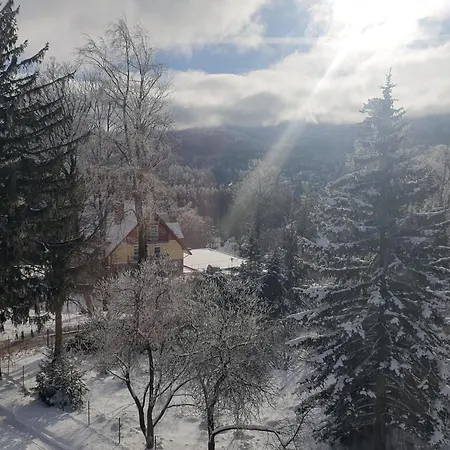 U Bozeny Apartament